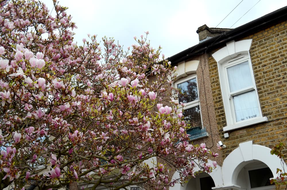 Clapton Property Guide