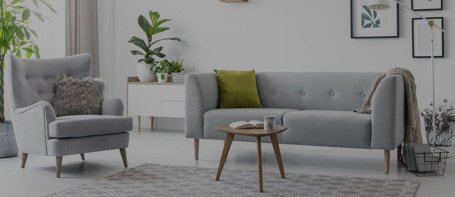 Professional Video Tours